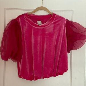 Maeve Pink Velvet Blouse with Sheer Sleeves